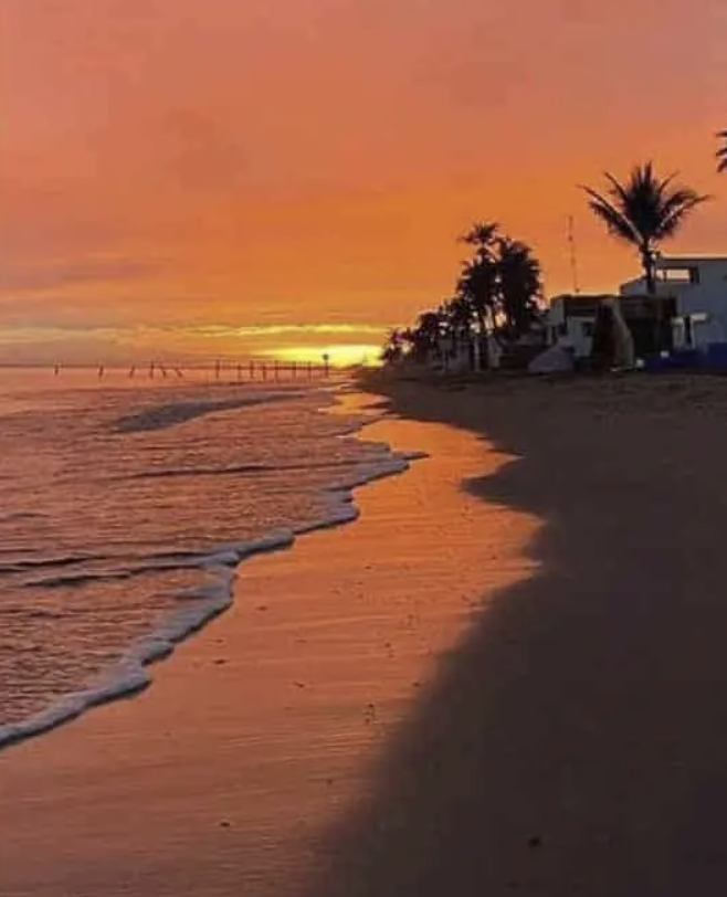 Crean Comité de Playas Limpias en Huatabampo